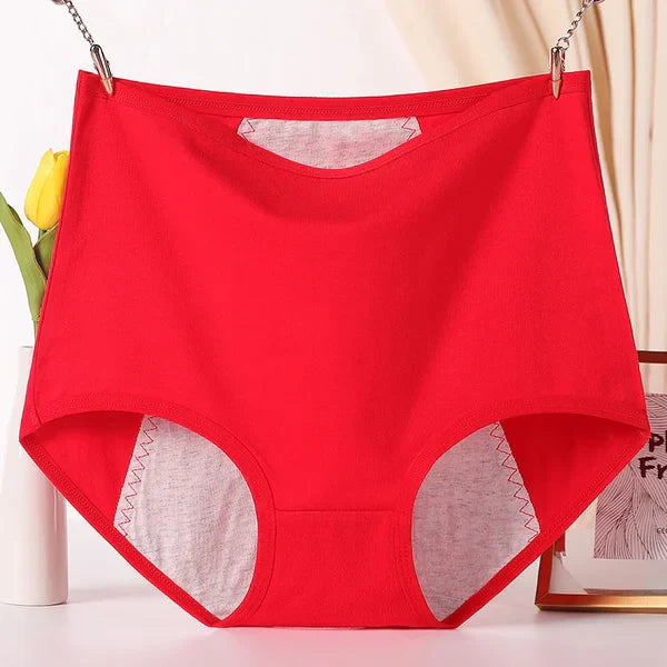Women's Plus Size High-Waist Period Underwear